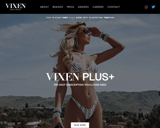 Vixen Group